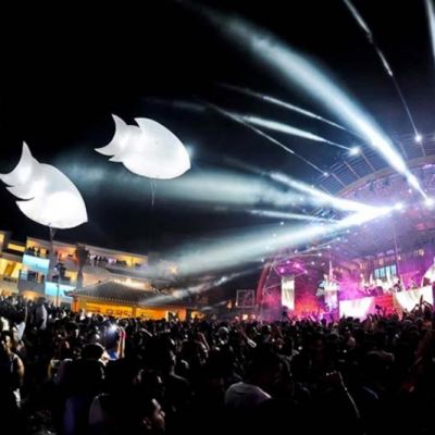 Piscillus_Ushuaia_1