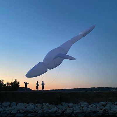 Aerosculpture-baleine-