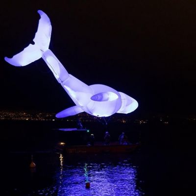 Le DL_G.Y.-aerosculpture-baleine-