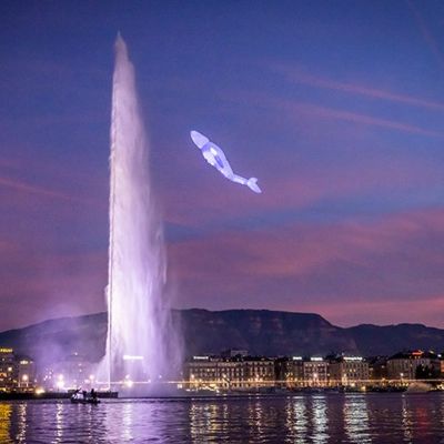 magali_girardin-aerosculpture-baleine