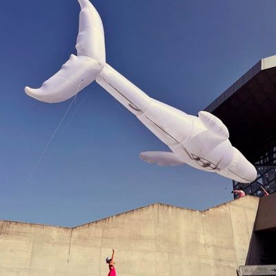 marion_dovy-aerosculpture-baleine-