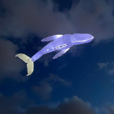 pierre_laly-aerosculpture-baleine